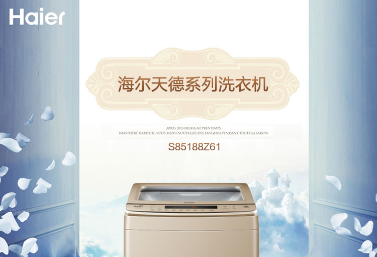 海尔洗衣机S85188Z61 8Kg全自动洗衣机双动力波轮式家用洗衣机甩干桶-2600-1.jpg